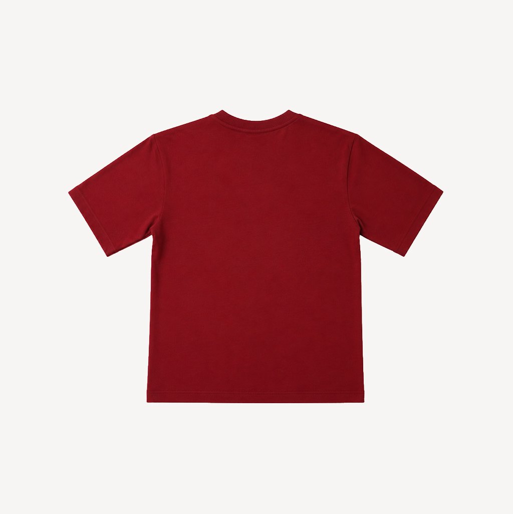 Maroon Half Sleeve t-shirt